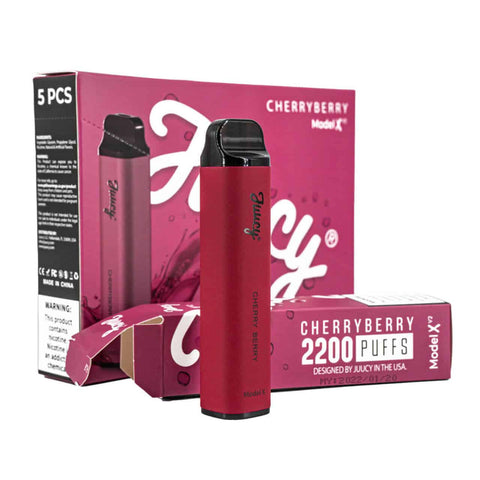 JUUCY MODEL X DISPOSABLE VAPE DEVICE - 10PK - Vape City USA - Vaporizers & Electronic Cigarettes