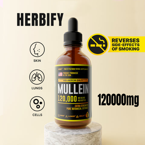 Herbify Organic Mullein Extract – 120000mg extra strength liquid supplement for skin, lungs, and cells
