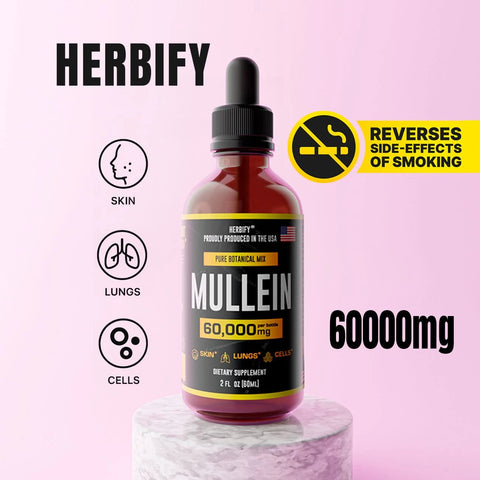 Herbify Mullein Extract 60000mg – Liquid botanical supplement for lung health, skin clarity, and cellular support
