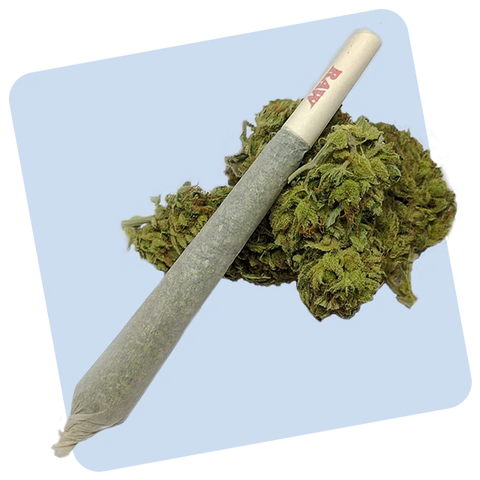 Hemp & CBD