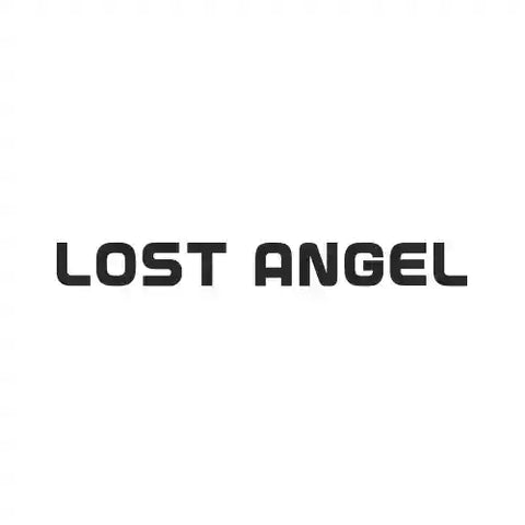 Lost Angel