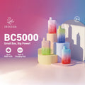 EBCREATE BC5000 Puffs Disposable Vape device - compact rechargeable pod with 5000 puffs