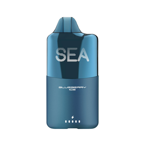 Blueberry Ice SEA XS 15000 vape – sweet blueberry with icy menthol finish