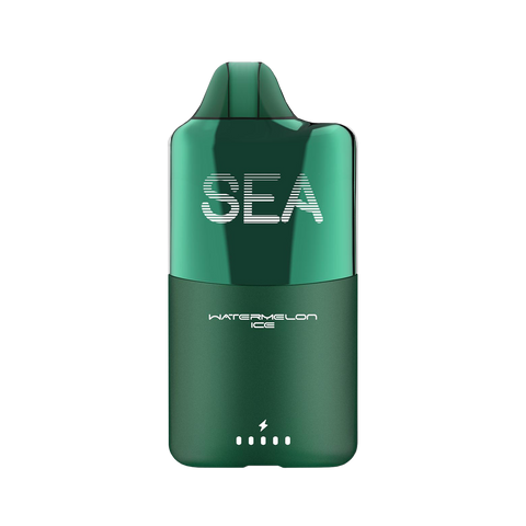 Watermelon Ice SEA XS 15000 vape – juicy watermelon flavor with icy undertone