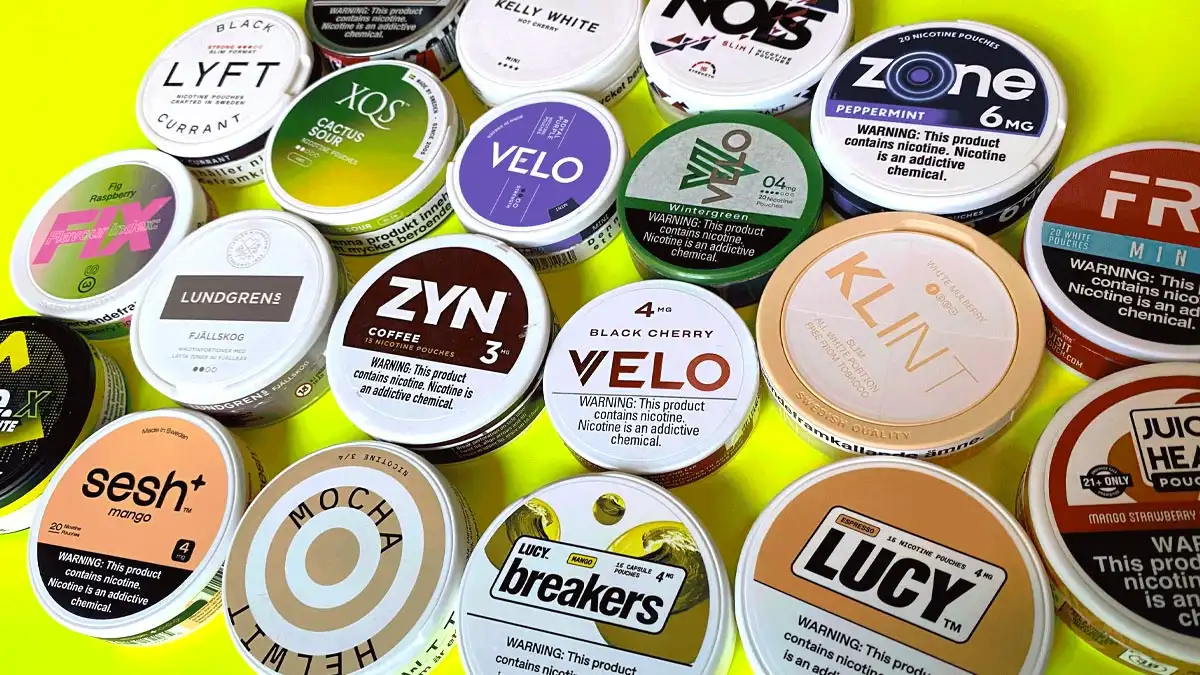 Best ZYN alternatives 2026 lineup of top 10 tobacco-free nicotine pouch brands