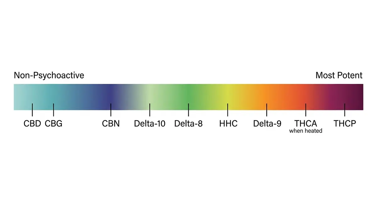 Chart showing hemp cannabinoid potency spectrum from CBD to THCP